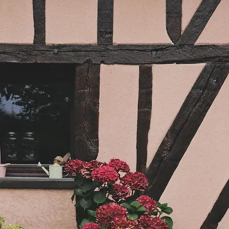 En A La Pause Sauvage Normandie *