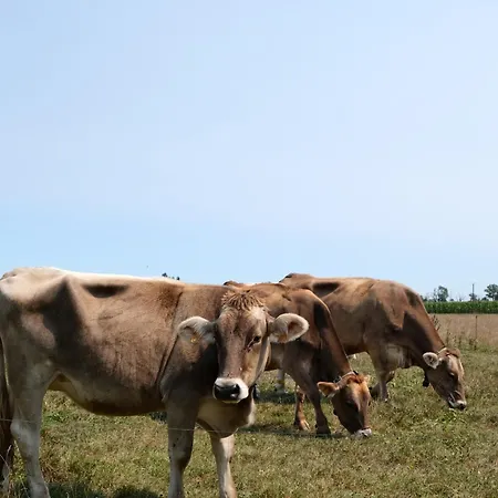 En A La Pause Sauvage Normandie アパート *