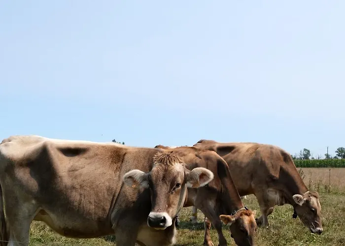 En A La Pause Sauvage Normandie Appartement *