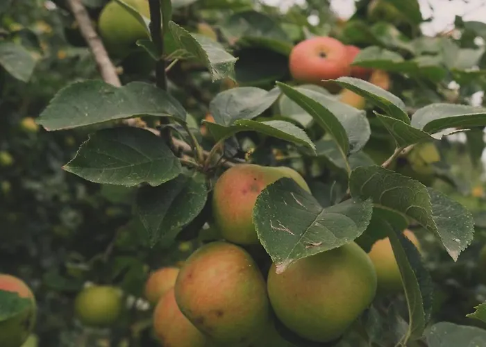 Appartement En A La Pause Sauvage Normandie Gisay