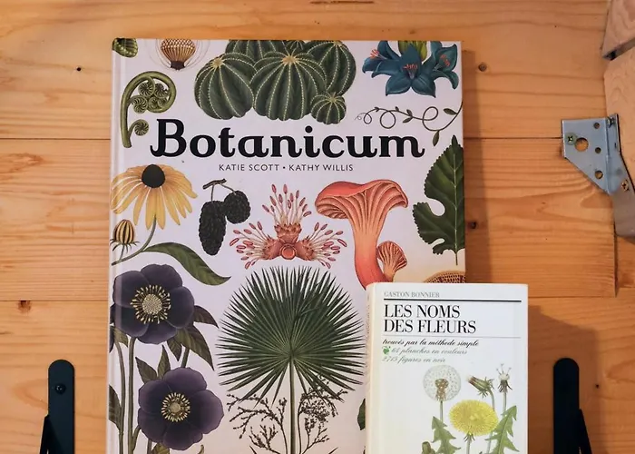 En A La Pause Sauvage Normandie *